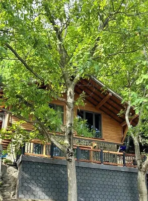 a wooden house with a tree in front of it at Çalıkuşu Dağ Evi in Bursa