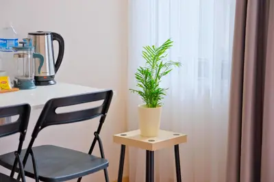 a plant sitting on a stool next to a table at Casa Nozze 2 in Istanbul
