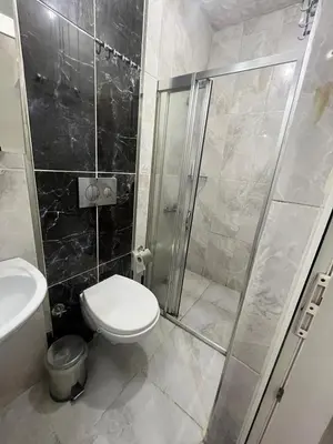 a bathroom with a shower and a toilet and a sink at Şişli Suites - Room25 in Istanbul