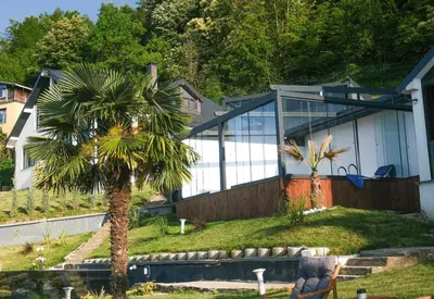a house with a palm tree in front of it at Adesa View Villas in Sapanca