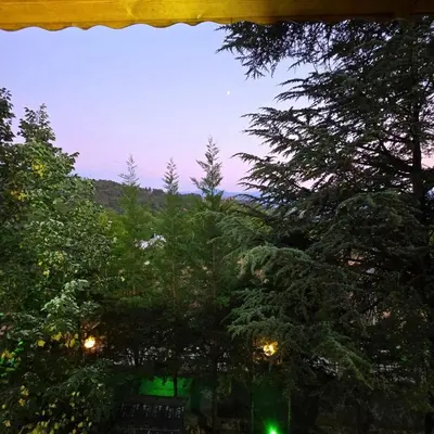 a view from a window of trees at night at Uludag Nefes Echoes by the Woods in Uludag