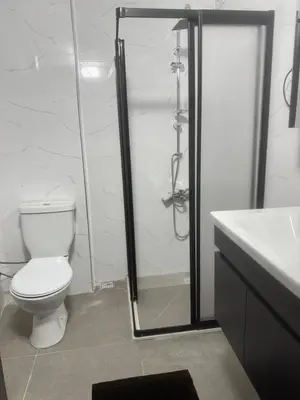 a bathroom with a shower and a toilet and a sink at Disa - Hotel Galata in Istanbul