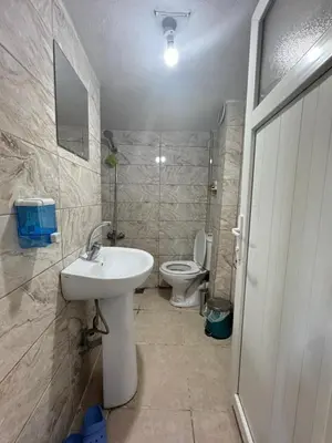 a bathroom with a sink and a toilet at Lavina Apartment in Istanbul