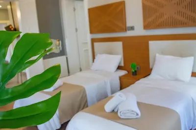 a hotel room with two beds and a plant at Modern 2BR Flat 1min walk to Taksim square in Istanbul