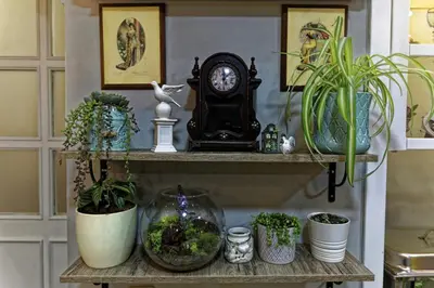 a shelf with potted plants and a clock on it at Romantic Hotel Istanbul in Istanbul