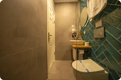 a bathroom with a toilet and a sink and a mirror at Hotel Zon in Serdivan