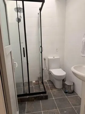 a bathroom with a shower and a toilet at walkabout apart in Istanbul
