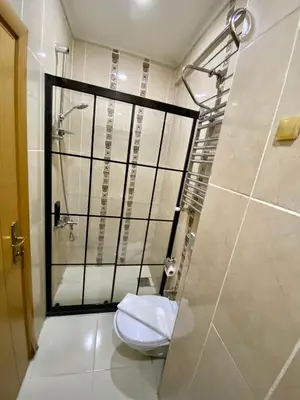 a bathroom with a toilet and a shower at Santefe Hotel in Istanbul