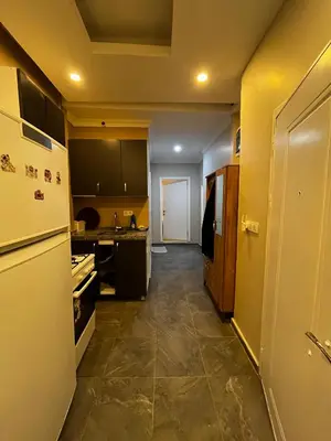 a small kitchen with a refrigerator and a stove at White Lotus Suites in Istanbul