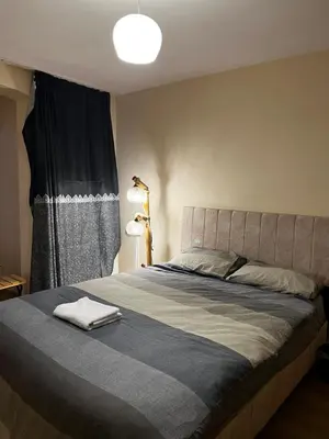 a bedroom with a large bed with a window at White Lotus Suites in Istanbul