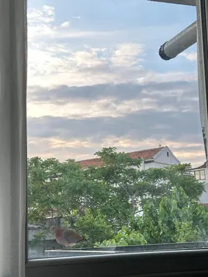 a bird sitting on a window sill looking at a tree at Cihangir Galataport Hotel in Istanbul