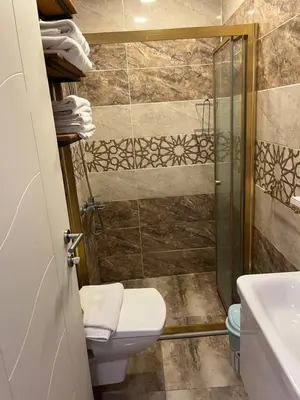 a bathroom with a shower and a toilet and a sink at Mutlu flat in Istanbul