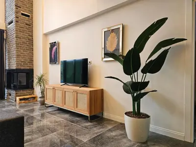 a living room with a tv and a potted plant at Sapanca modern in Sapanca