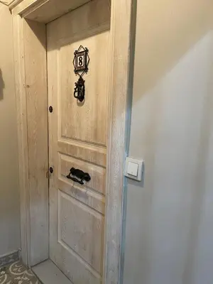 a wooden door with a cat on it next to a wall at Ozcans Sururi Pera Flats 8 in Istanbul