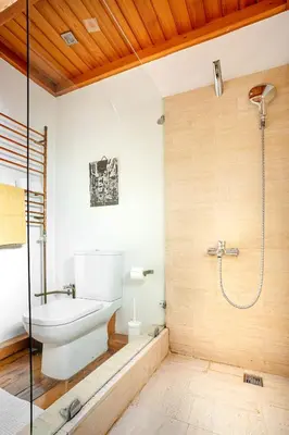a bathroom with a toilet and a shower at Alaattin Apartments in Istanbul