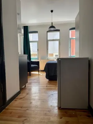a room with a bedroom and a living room with a bed at Balat Homes & Apartments Nick in Istanbul