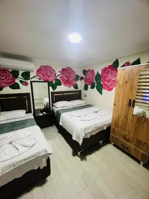two beds in a room with roses on the wall at sefa yacht hotel in Istanbul