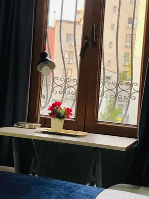 a vase of flowers on a table in front of a window at Taksim Historic House hotel in Istanbul