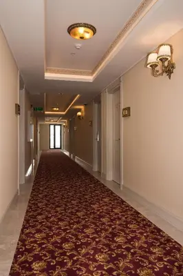 a long hallway with a red carpet and a ceiling at Istanbul Town Hotel in Istanbul