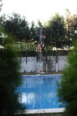 a swimming pool with a tree next to a fence at Detached villa with a heated pool and garden in Sapanca