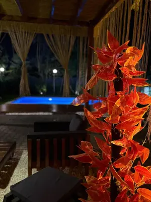a red plant in a room with a pool at Detached villa with a heated pool and garden in Sapanca