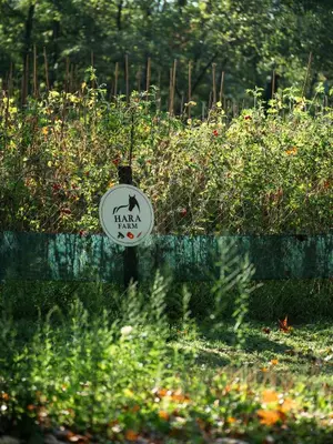 a sign that is hanging in the grass at HARA Bıçkıdere in Akyazı