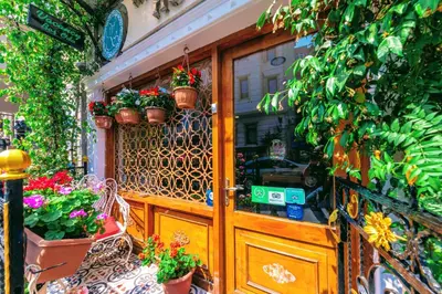 a door to a store with potted plants on it at Walnut Shell Hotel in Istanbul