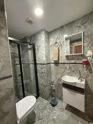 a bathroom with a toilet and a sink and a shower at Atay Apart in Istanbul