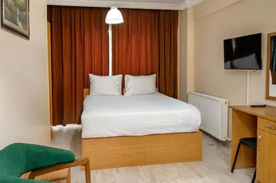 a bedroom with a bed and a desk and a television at Lion Stone Hotel in Istanbul
