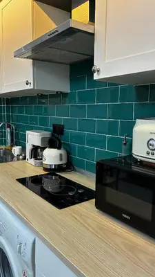 a kitchen with a stove and a microwave at Taksim Green Flat Apartment 2 in Istanbul