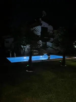a swimming pool at night with two palm trees at Selbeshome in Sapanca