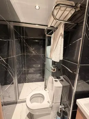 a small bathroom with a toilet and a shower at city istiklal in Istanbul