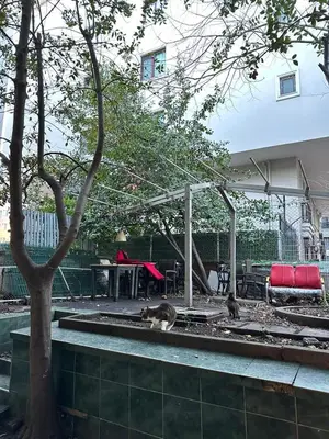 two cats are sitting in a patio with a table and chairs at Twin Double X2 Room in Istanbul