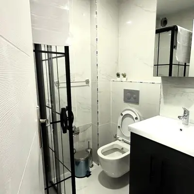 a small bathroom with a toilet and a sink at Accommodation Near the Bull Statue in Kadikoy in Istanbul