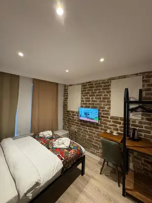 a bedroom with a bed and a desk and a television at taksimrosboutique in Istanbul