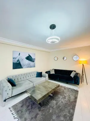 a living room with a couch and a coffee table at ekinci cihangir in Istanbul