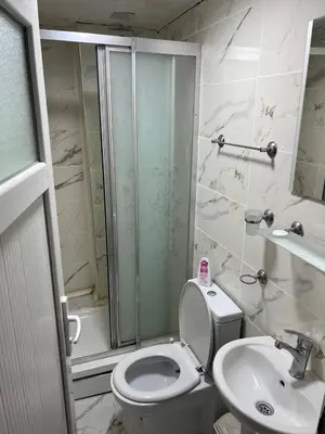 a bathroom with a shower and a toilet and a sink at suite near Taksim square in Istanbul