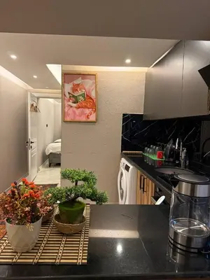 a kitchen with a counter top with plants on it at Cozy 1BR Basement Apartment Close to Metro in Istanbul