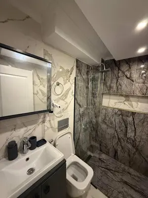 a bathroom with a sink and a toilet and a shower at Cozy 1BR Basement Apartment Close to Metro in Istanbul