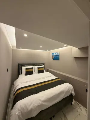 a bedroom with a large bed in a room at Cozy 1BR Basement Apartment Close to Metro in Istanbul