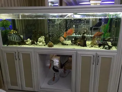 a aquarium with many different fish in it at Hotel Grand Mark in Istanbul