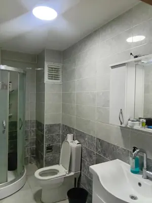 a bathroom with a toilet and a sink at Sağlam Apartments 1 in Istanbul