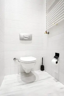 a white bathroom with a toilet and a toilet paper dispenser at A Modernized Apt In The Historic Area Of Istanbul in Istanbul