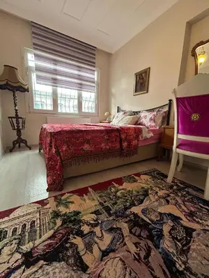 a bedroom with a bed and a large rug at Bohemian Antique House in Colorful Balat in Istanbul