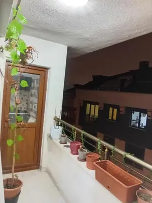 a balcony with potted plants sitting on a ledge at Sağlam Apartments in Istanbul