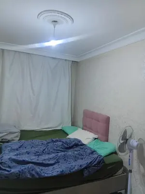 a bedroom with a bed and a fan in it at Sağlam Apartments in Istanbul
