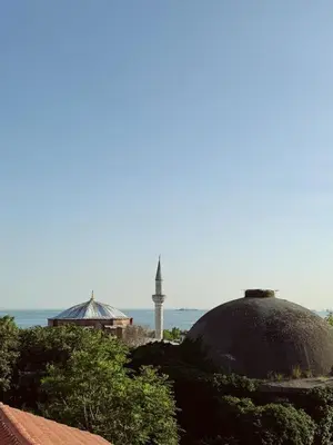 a view of a mosque and a mosque and the ocean at BACHOS HOTEL SULTANAHMET sea view terrace in Istanbul