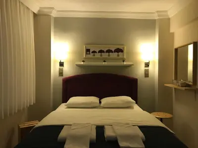 a bedroom with a bed with two pillows on it at Goji's Apartments in Istanbul