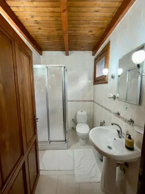 a bathroom with a shower and a sink and a toilet at Sapanca Vi̇lla Bahce Şükriye Küçükal in Sapanca