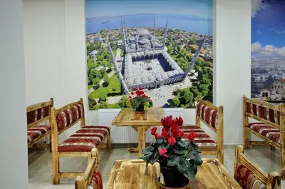 a room with chairs and a table with a view ofhens at Seyri Istanbul Hotel in Istanbul
